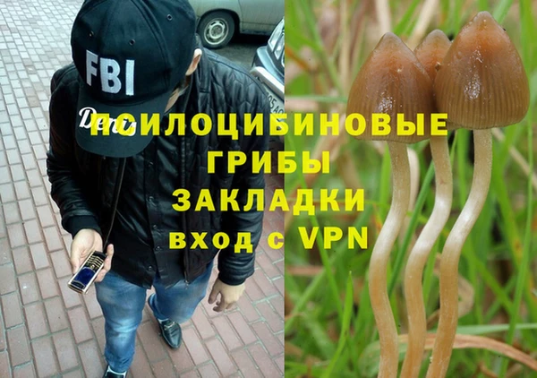 гашик Алзамай