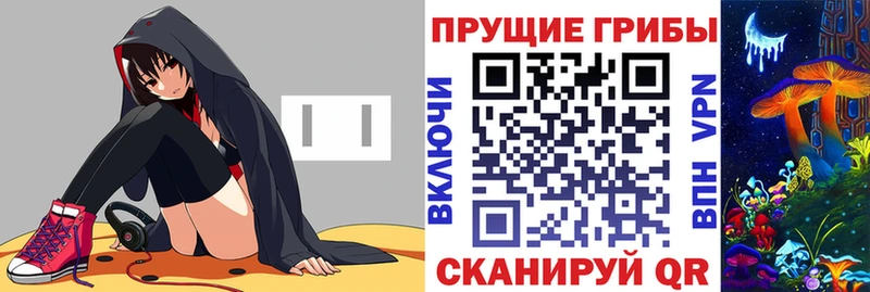 Псилоцибиновые грибы Psilocybine cubensis Тогучин